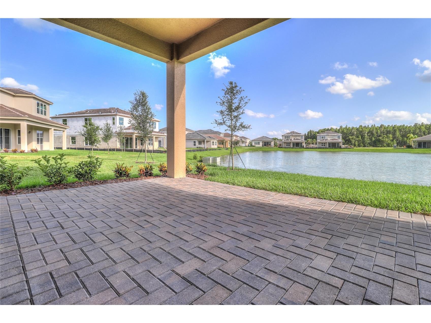 31045 Lindentree Drive Wesley Chapel FL 33543 TB8466042 image4