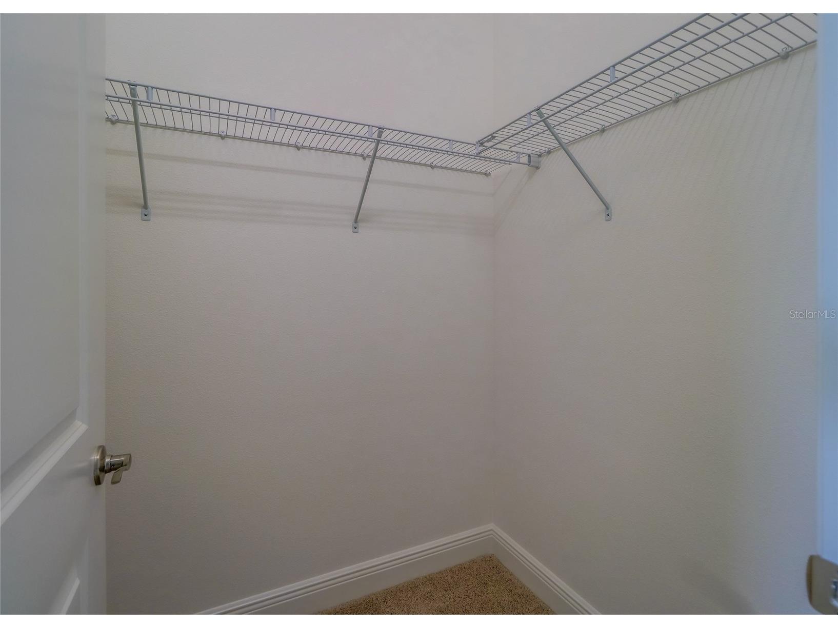 31045 Lindentree Drive Wesley Chapel FL 33543 TB8466042 image42