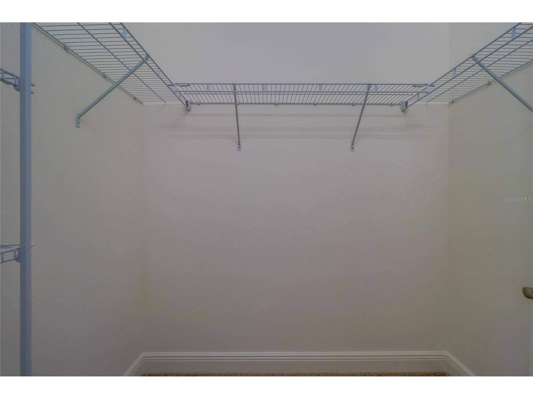 31045 Lindentree Drive Wesley Chapel FL 33543 TB8466042 image43