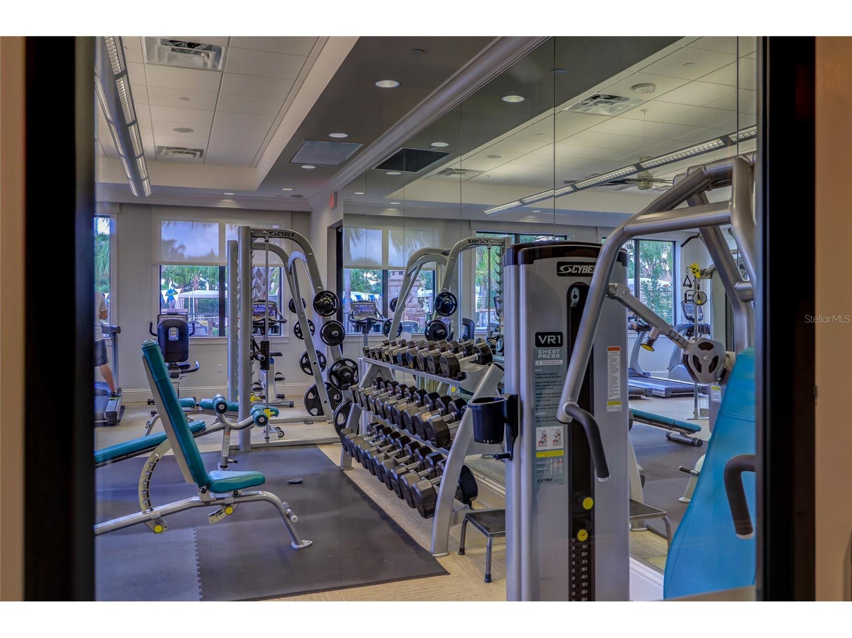 31045 Lindentree Drive Wesley Chapel FL 33543 TB8466042 image47