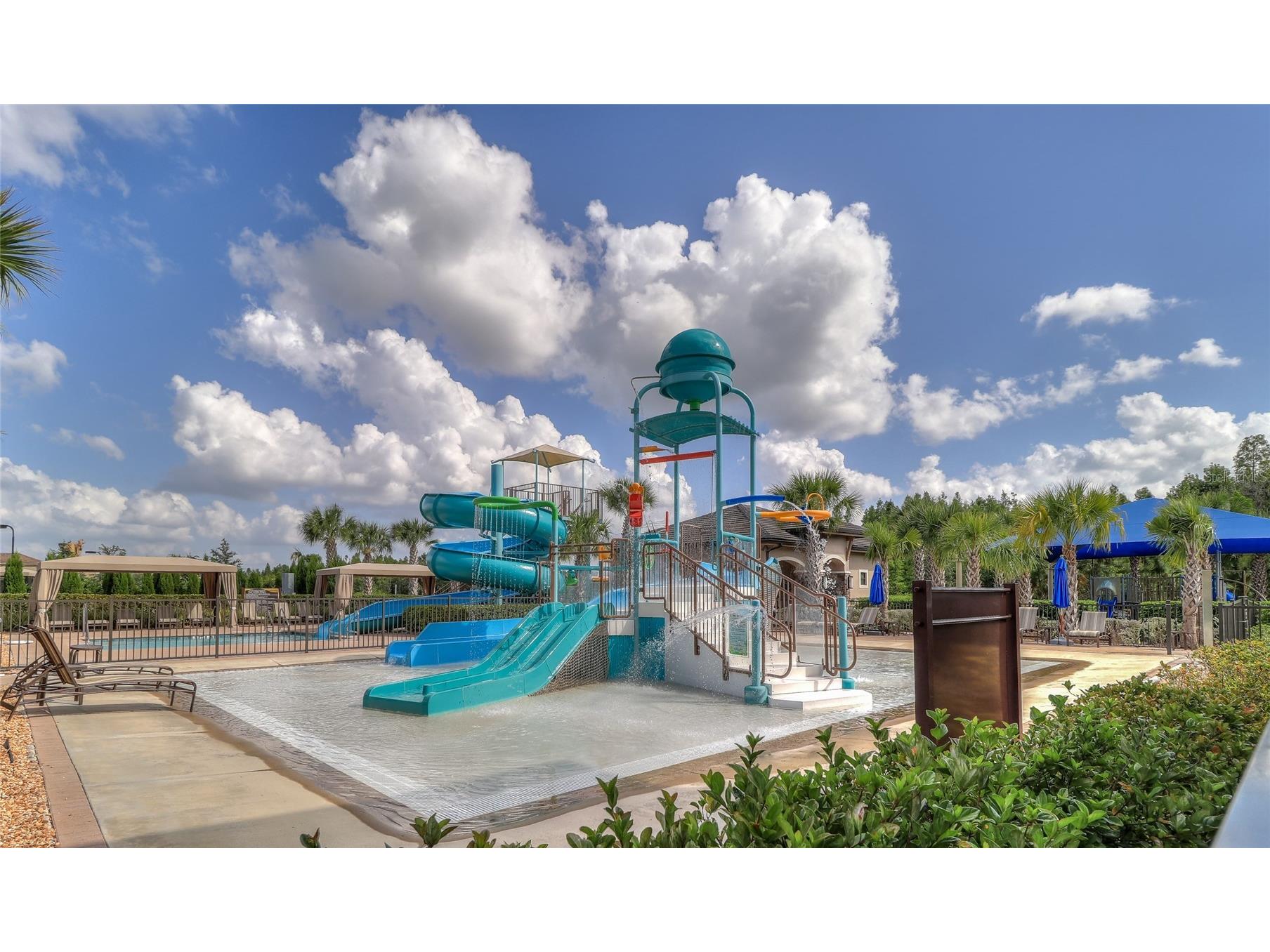 31045 Lindentree Drive Wesley Chapel FL 33543 TB8466042 image49