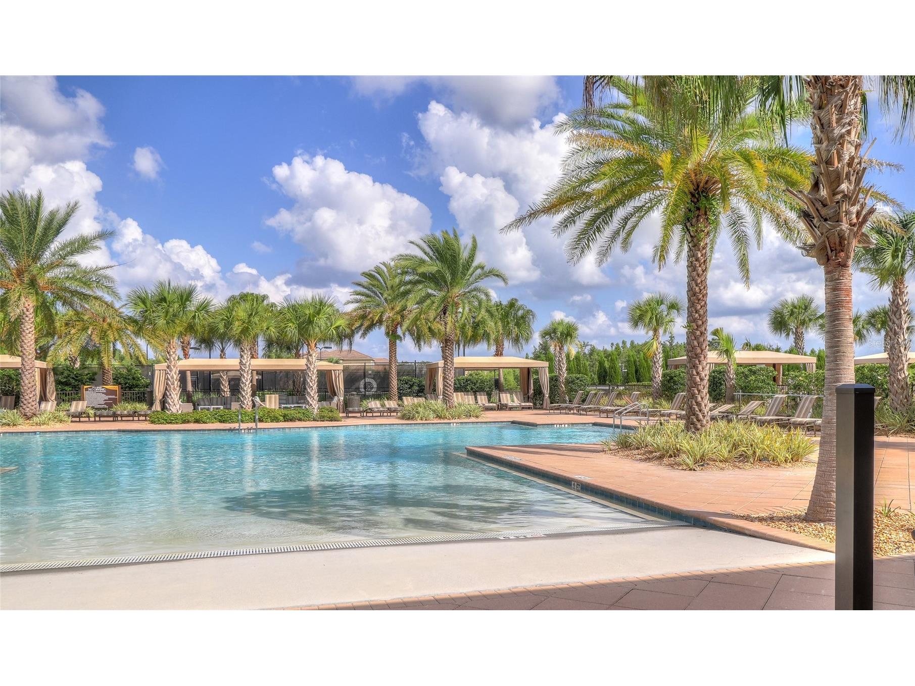 31045 Lindentree Drive Wesley Chapel FL 33543 TB8466042 image51