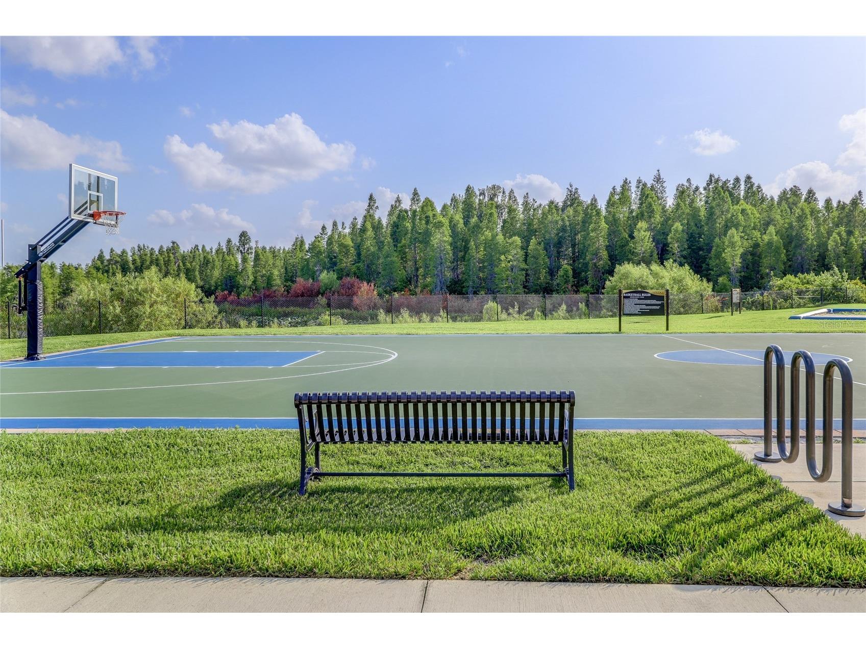 31045 Lindentree Drive Wesley Chapel FL 33543 TB8466042 image54