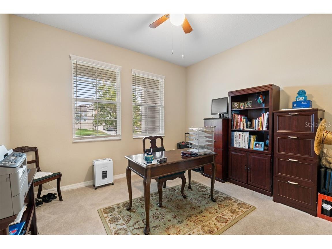 31046 Parrot Reef Court Wesley Chapel FL 33545 TB8455085 image10