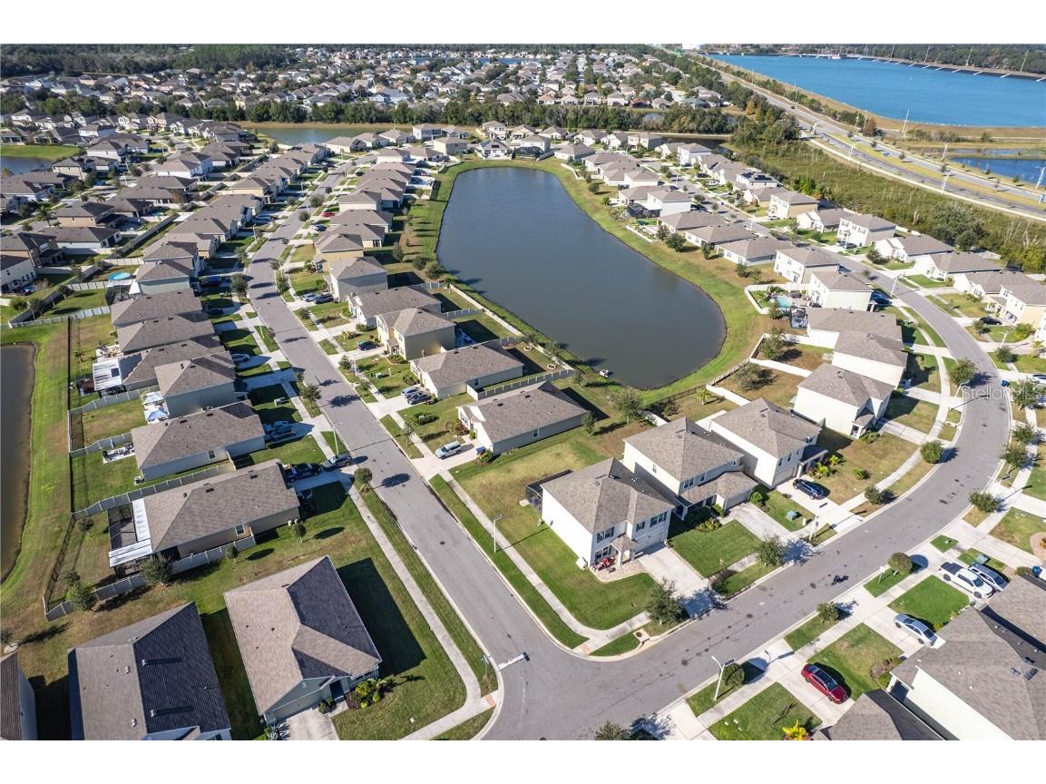 31046 Parrot Reef Court Wesley Chapel FL 33545 TB8455085 image100
