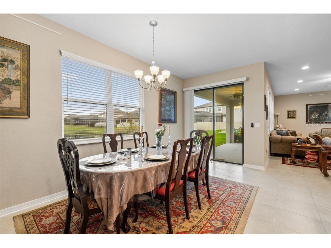 31046 Parrot Reef Court Wesley Chapel FL 33545 TB8455085 image23