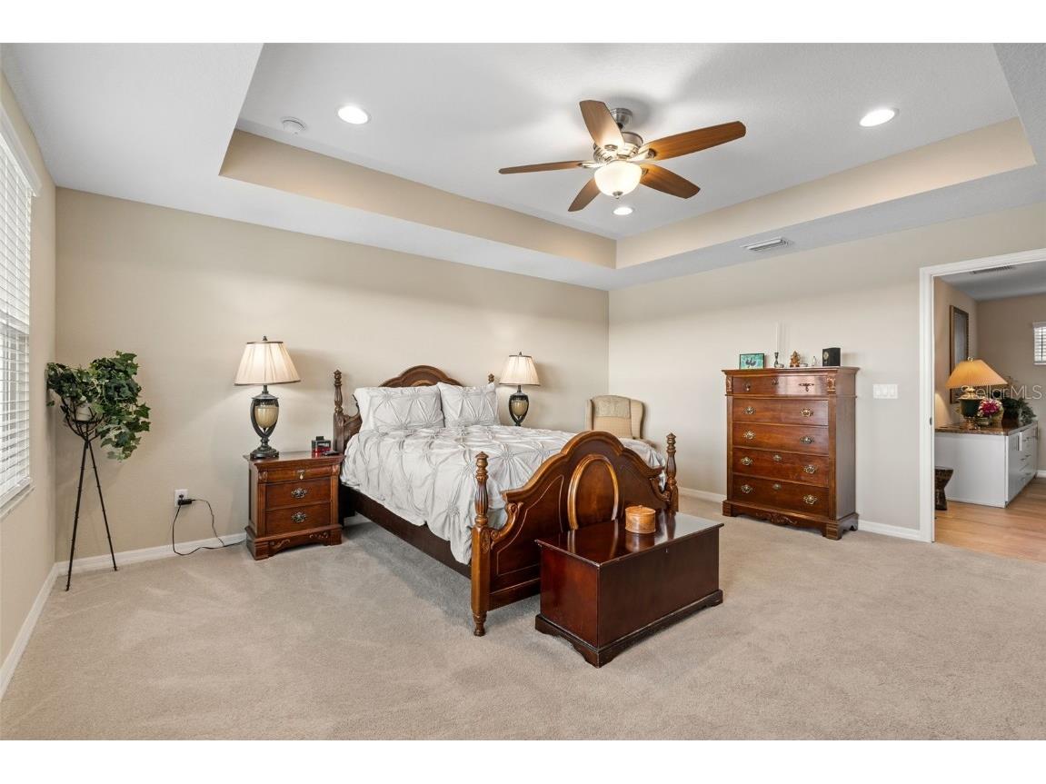 31046 Parrot Reef Court Wesley Chapel FL 33545 TB8455085 image35