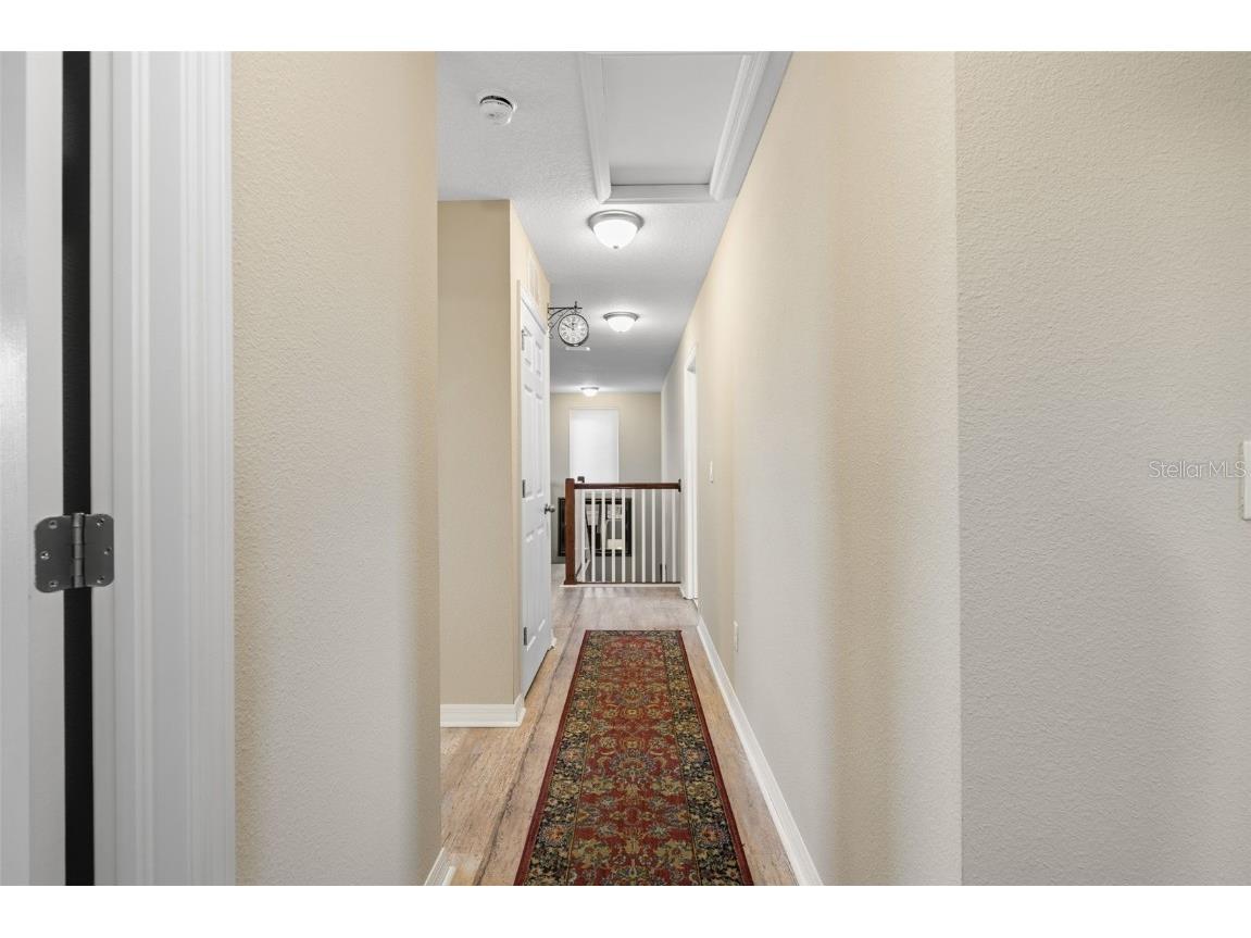 31046 Parrot Reef Court Wesley Chapel FL 33545 TB8455085 image43