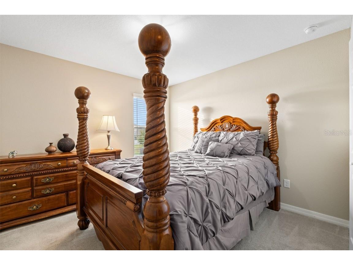 31046 Parrot Reef Court Wesley Chapel FL 33545 TB8455085 image44