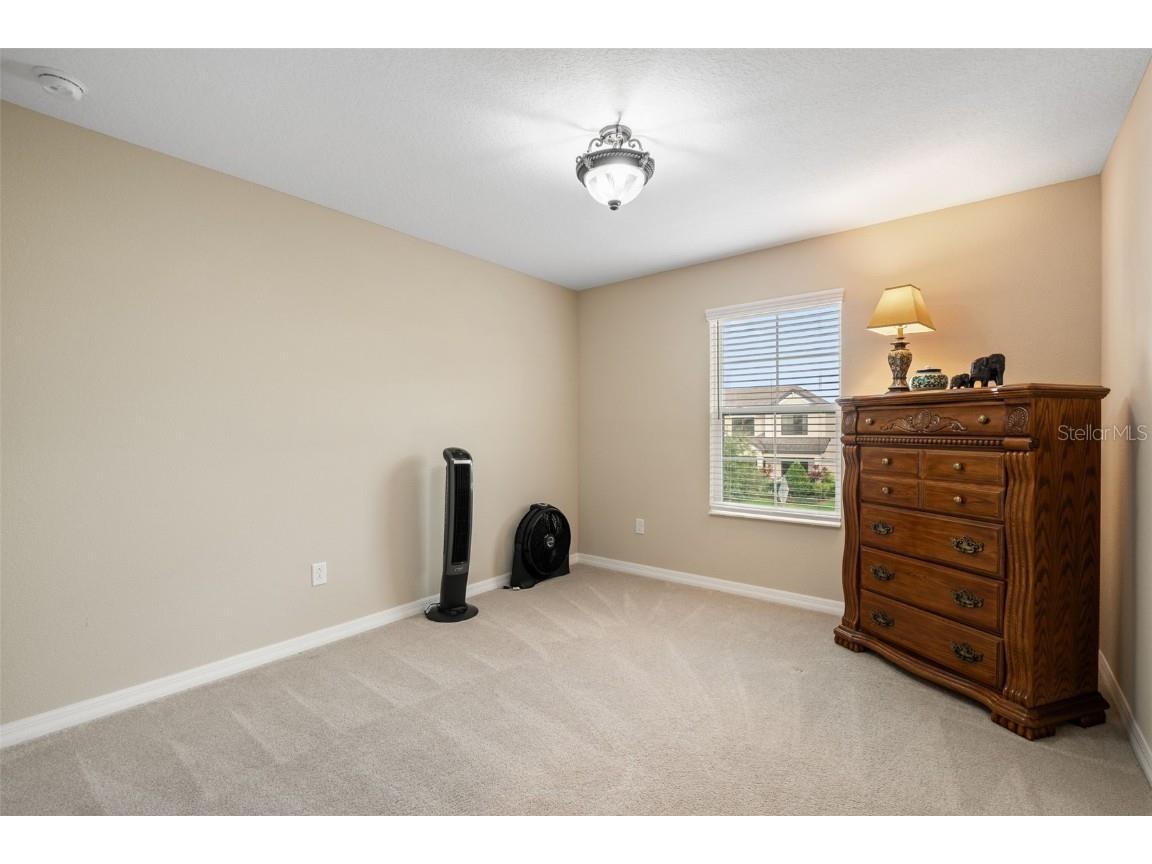 31046 Parrot Reef Court Wesley Chapel FL 33545 TB8455085 image49