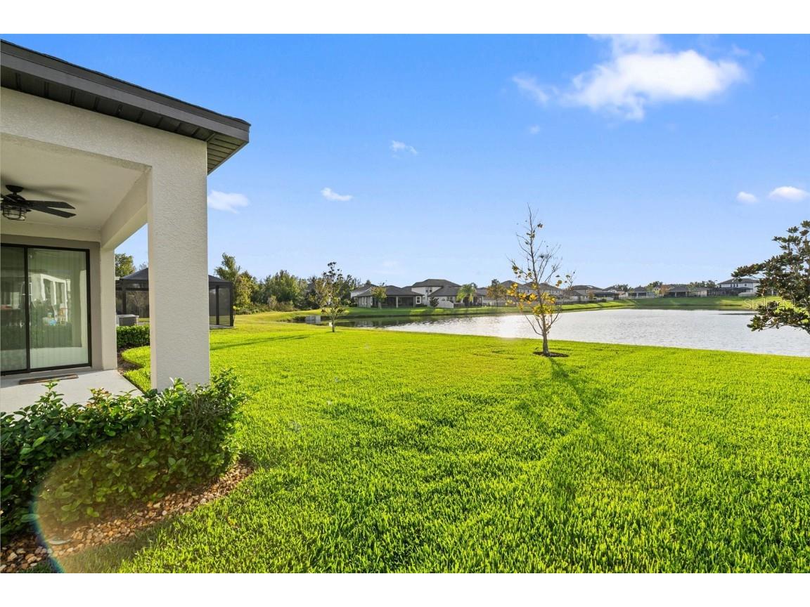 31046 Parrot Reef Court Wesley Chapel FL 33545 TB8455085 image52