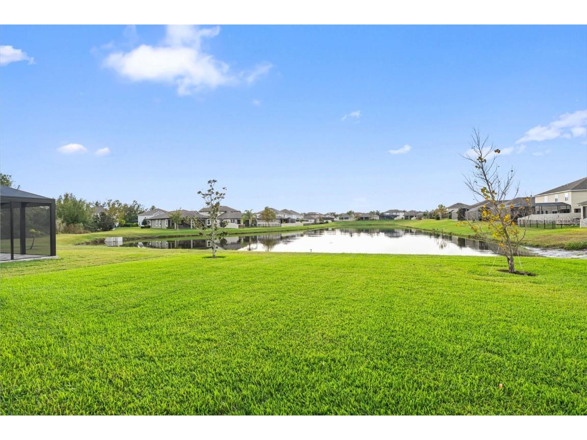 31046 Parrot Reef Court Wesley Chapel FL 33545 TB8455085 image53