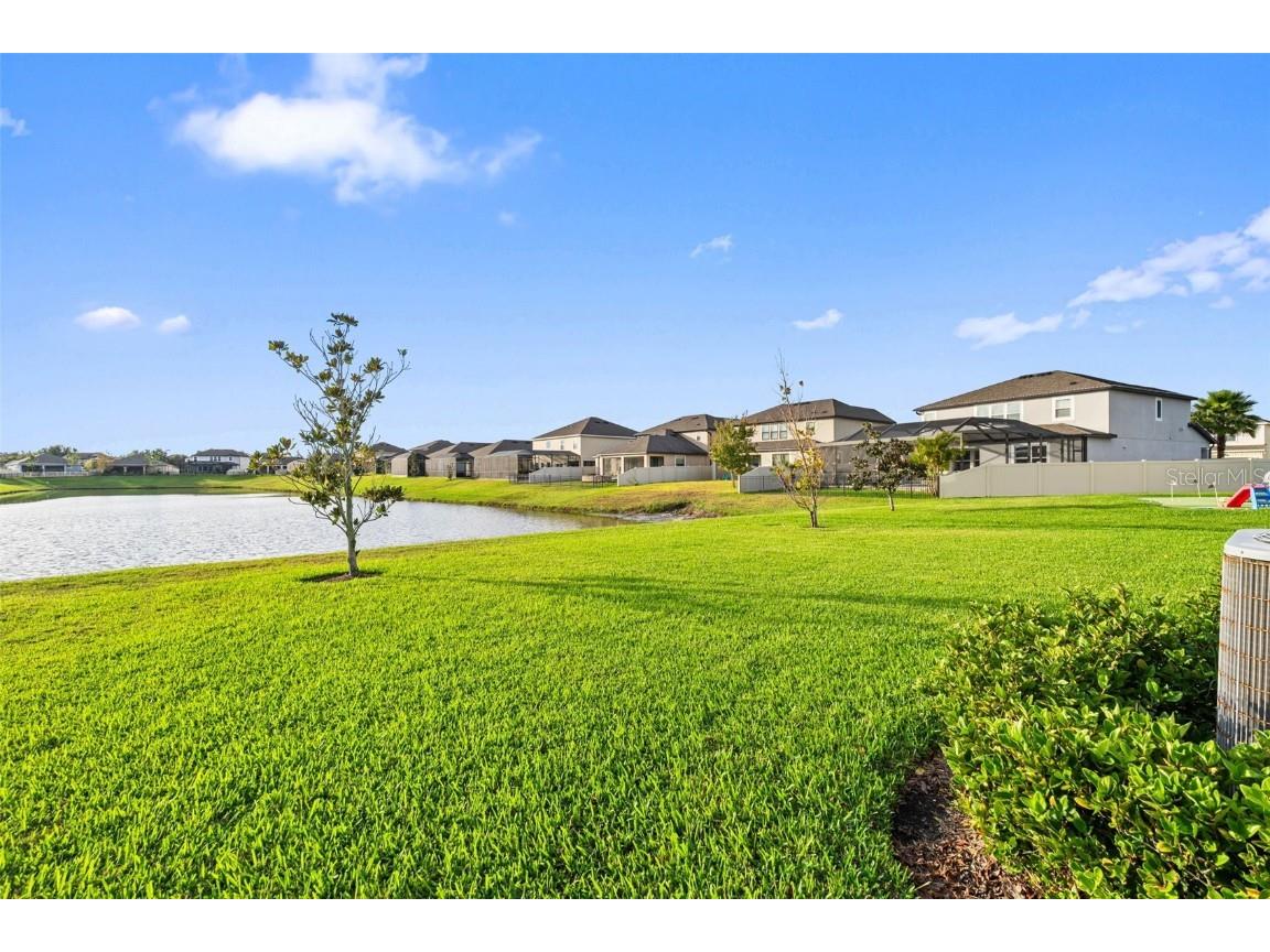 31046 Parrot Reef Court Wesley Chapel FL 33545 TB8455085 image54