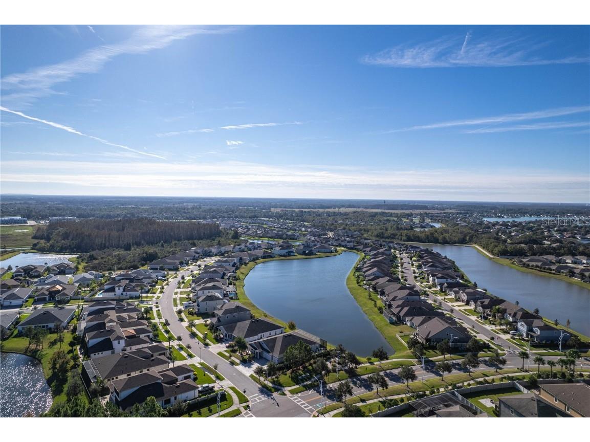 31046 Parrot Reef Court Wesley Chapel FL 33545 TB8455085 image98