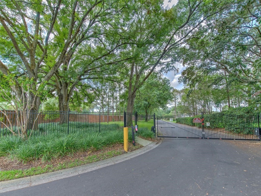 3105 Mossvale Lane Tampa FL 33618 TB8441715 image3