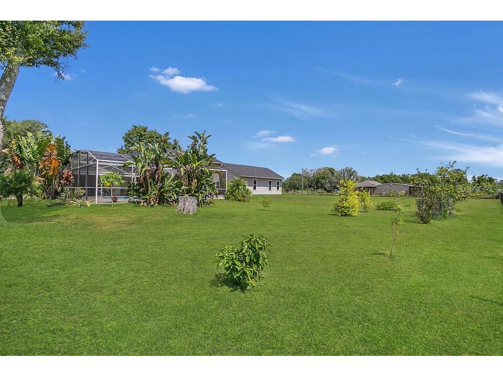 3105 Pastures Road Kissimmee FL 34746 S5113397 image15