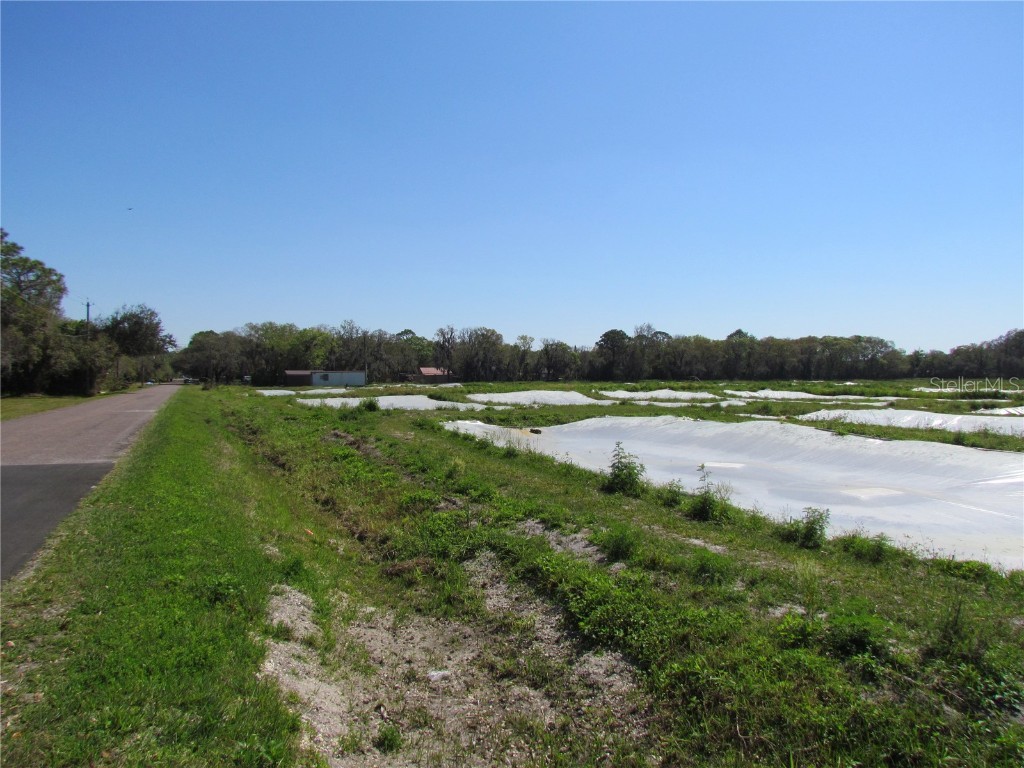 3105 SE 24th Avenue Ruskin FL 33570 T3357996 image1