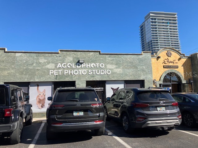 3105 W Bay To Bay Boulevard Tampa FL 33629 TB8444084 image1
