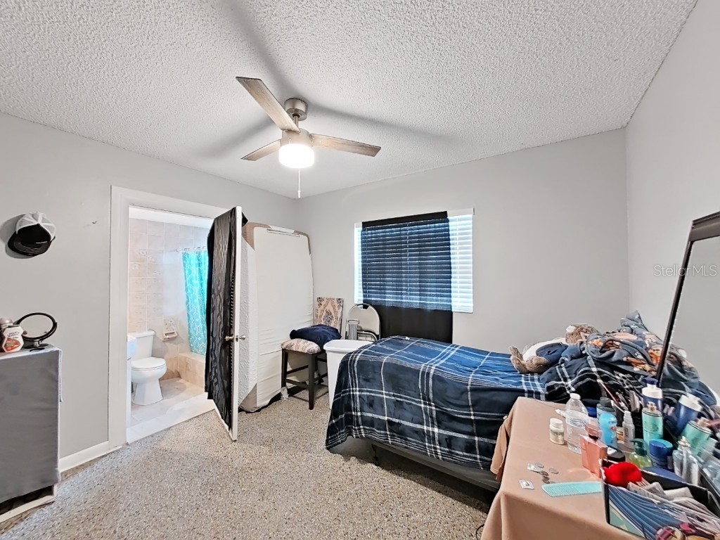 3105 W Ivy Street Tampa FL 33607 TB8429235 image20