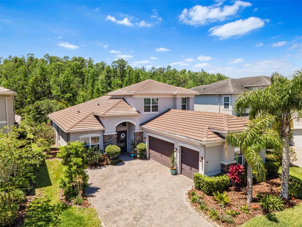 31050 Spruceberry Court Wesley Chapel FL 33543 TB8378077 image1