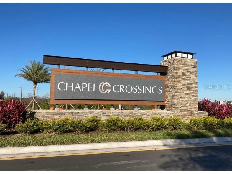 31051 Pendleton Landing Circle Wesley Chapel FL 33545 TB8507660 image11