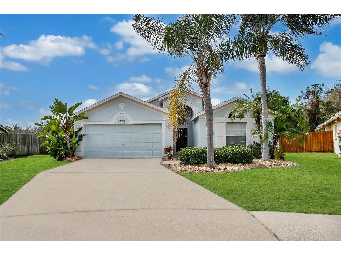 31053 Wolfert Place Wesley Chapel FL 33543 O6178025 image1