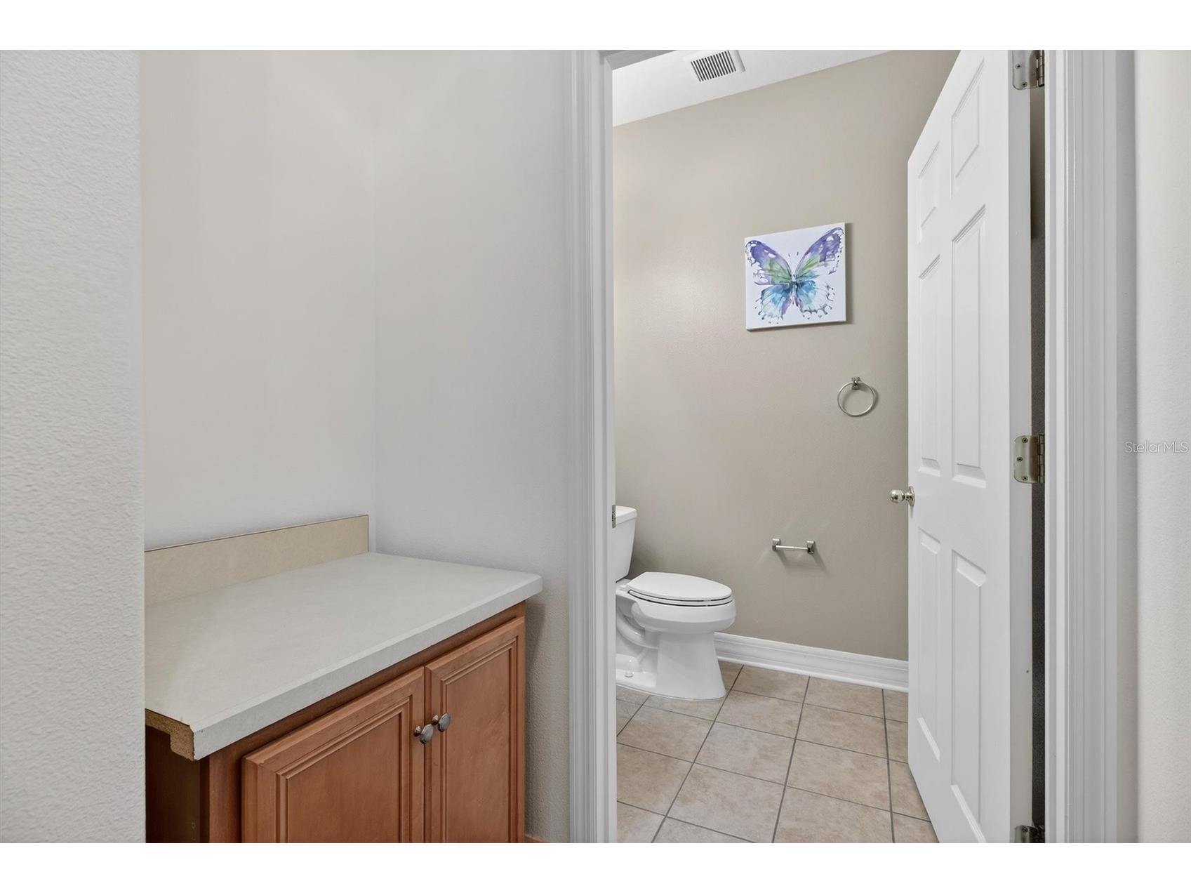 3106 Anquilla Avenue Clermont FL 34711 O6389383 image18