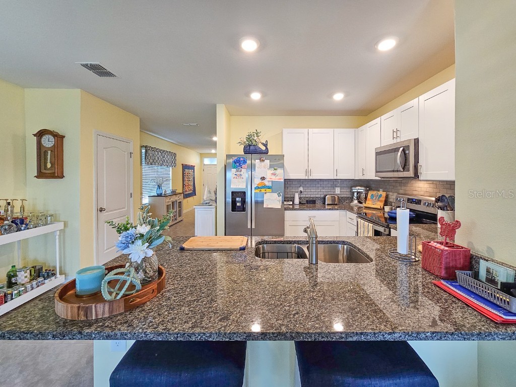 3106 Borassus Drive New Smyrna Beach FL 32168 NS1086233 image11