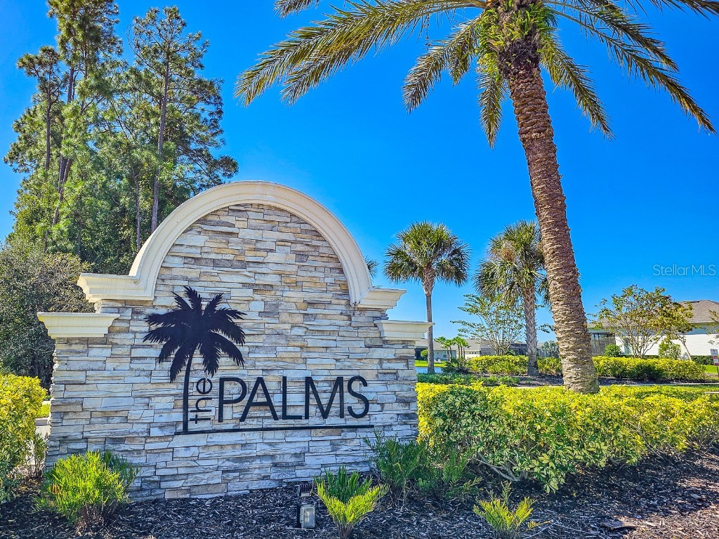 3106 Borassus Drive New Smyrna Beach FL 32168 NS1086233 image2