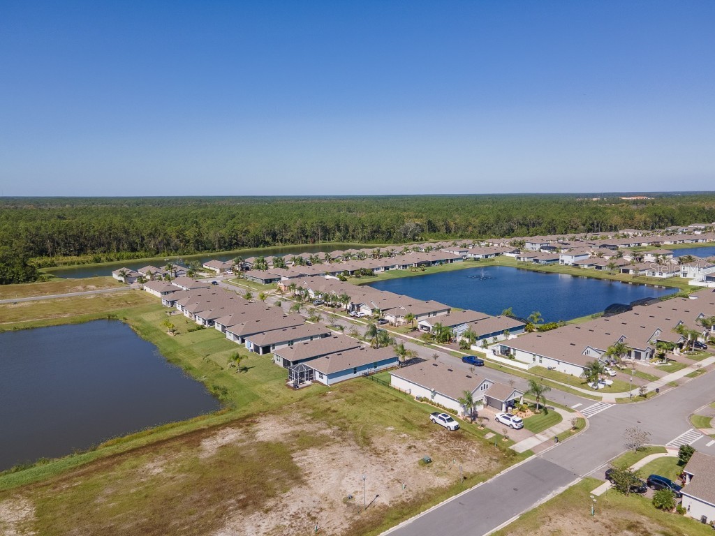 3106 Borassus Drive New Smyrna Beach FL 32168 NS1086233 image38