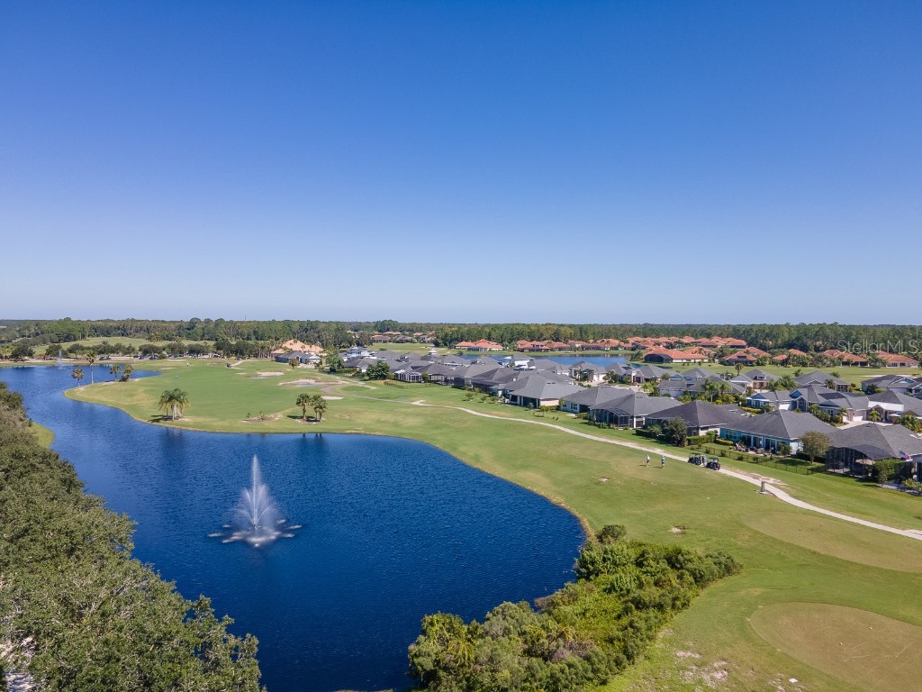 3106 Borassus Drive New Smyrna Beach FL 32168 NS1086233 image39