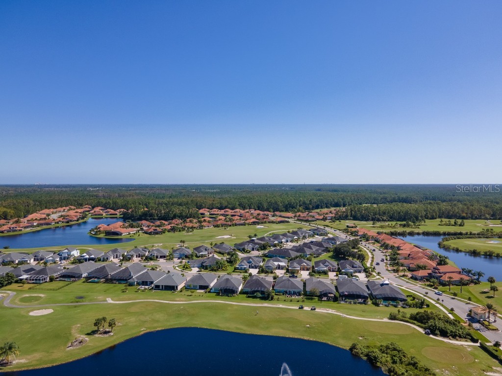 3106 Borassus Drive New Smyrna Beach FL 32168 NS1086233 image40