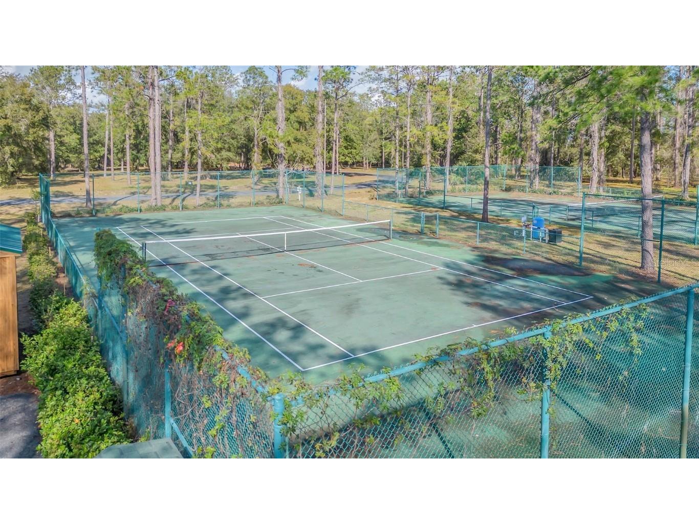 3106 Bright Lake Circle Groveland FL 34736 - Clearwater Lake O6168889 image21