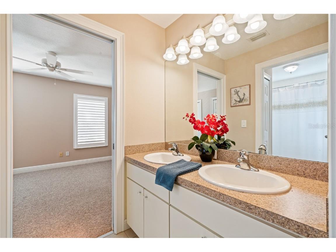 3106 Colonial Drive Clearwater FL 33759 TB8434047 image39