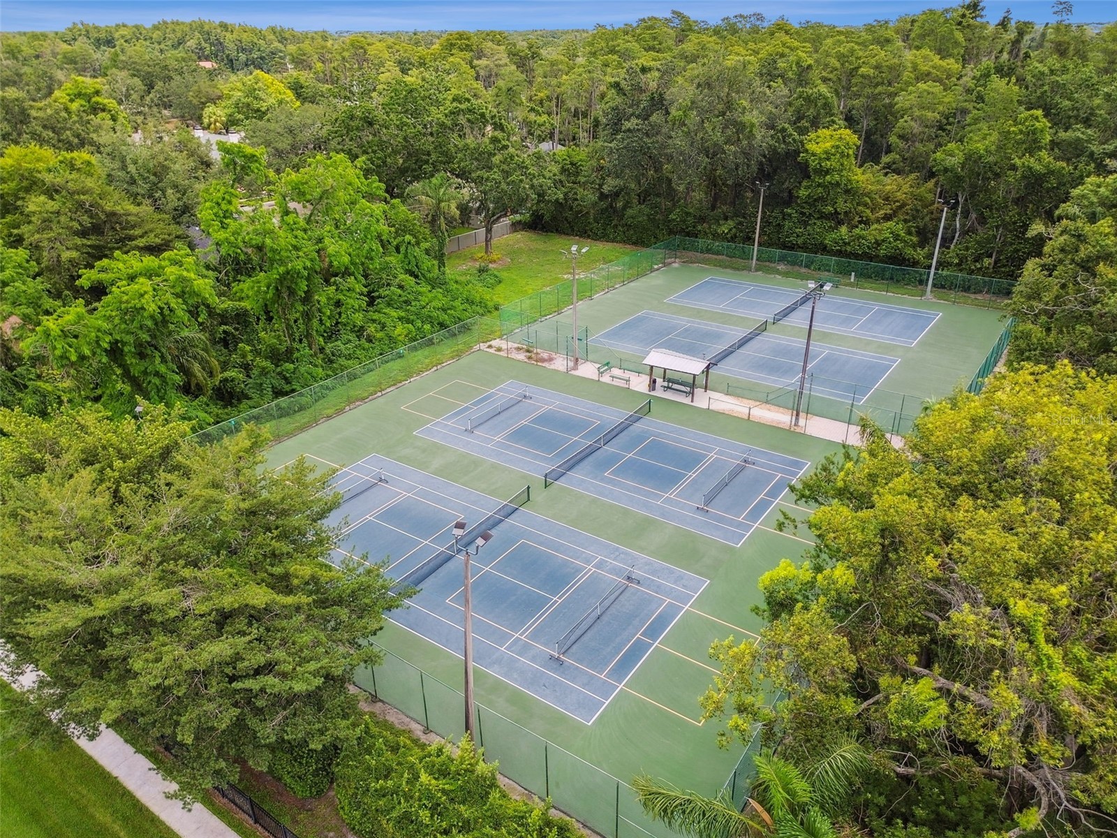 3106 Lake Ellen Drive Tampa FL 33618 TB8477326 image40