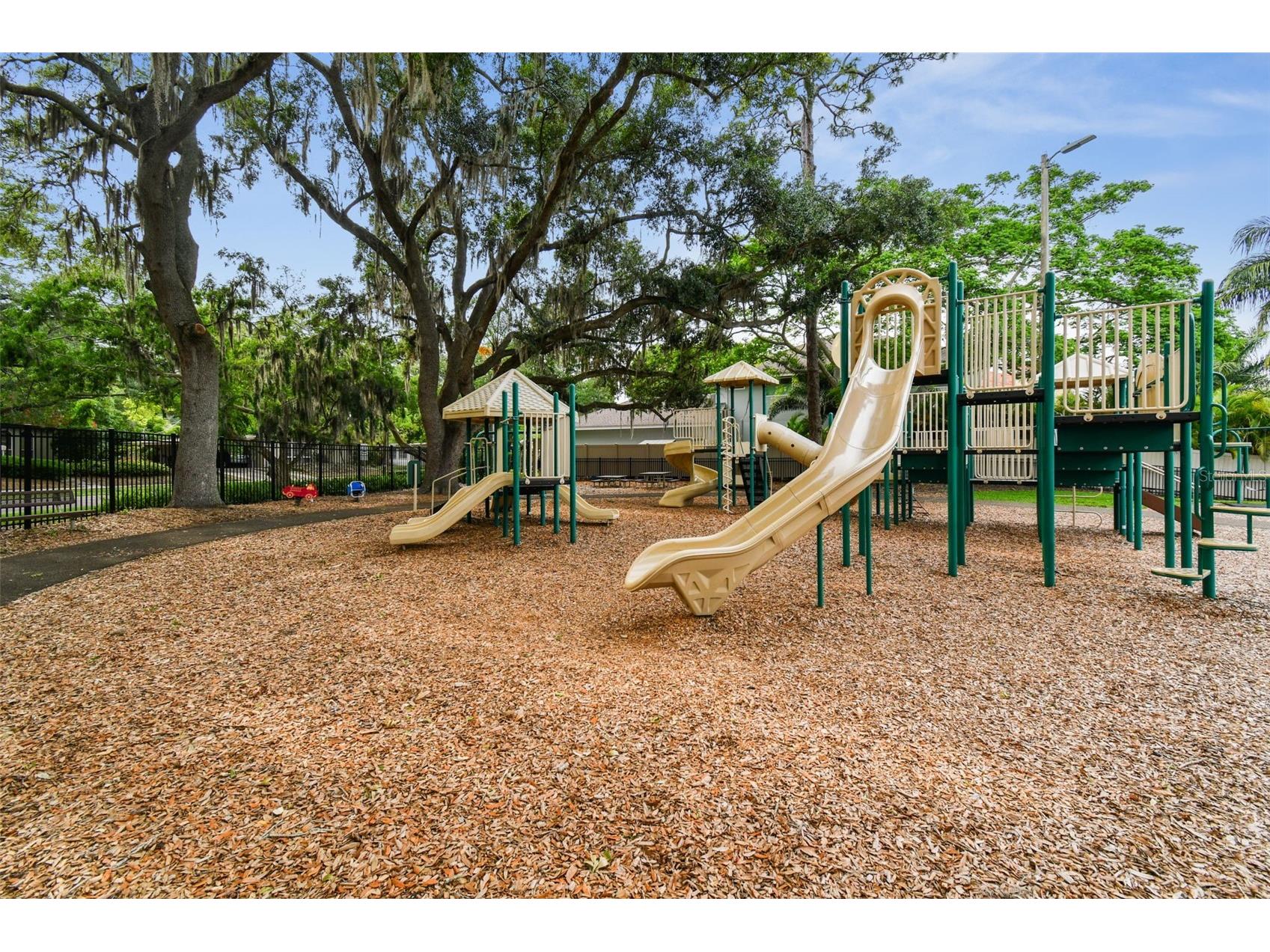 3106 Lake Ellen Drive Tampa FL 33618 TB8477326 image51