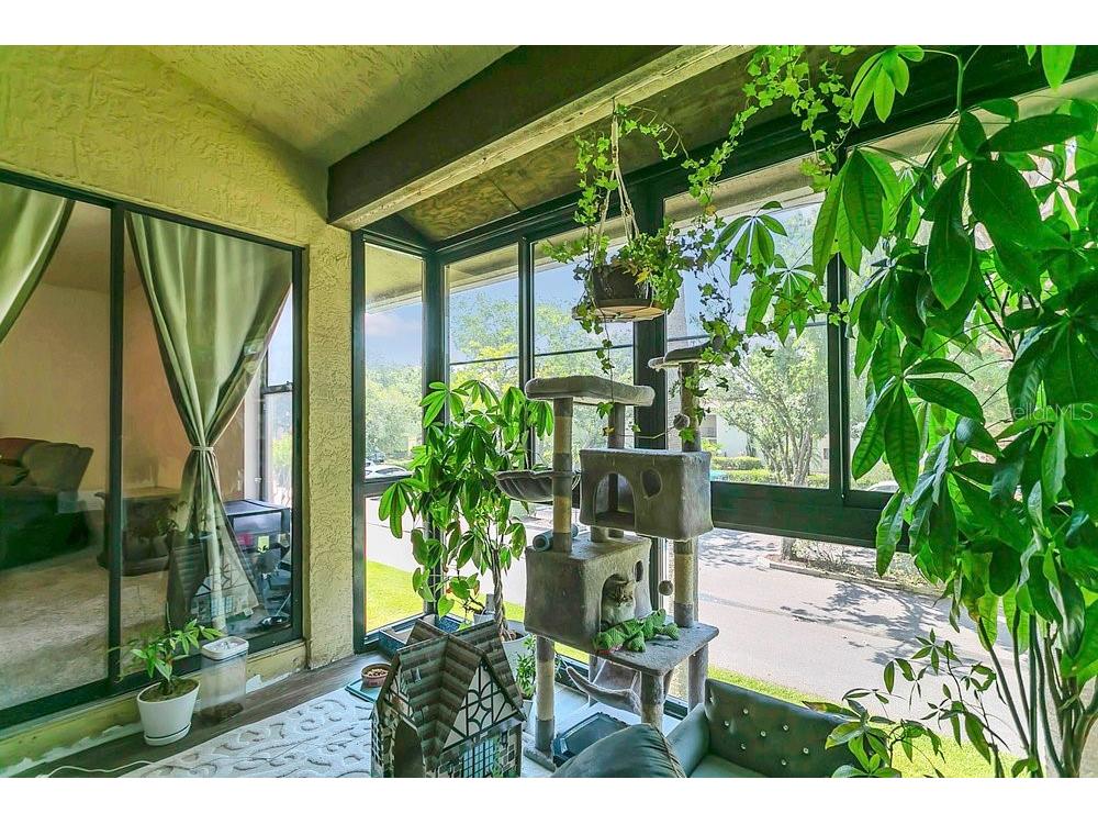 3106 S Semoran Boulevard #P-2 Orlando FL 32822 O6302896 image15