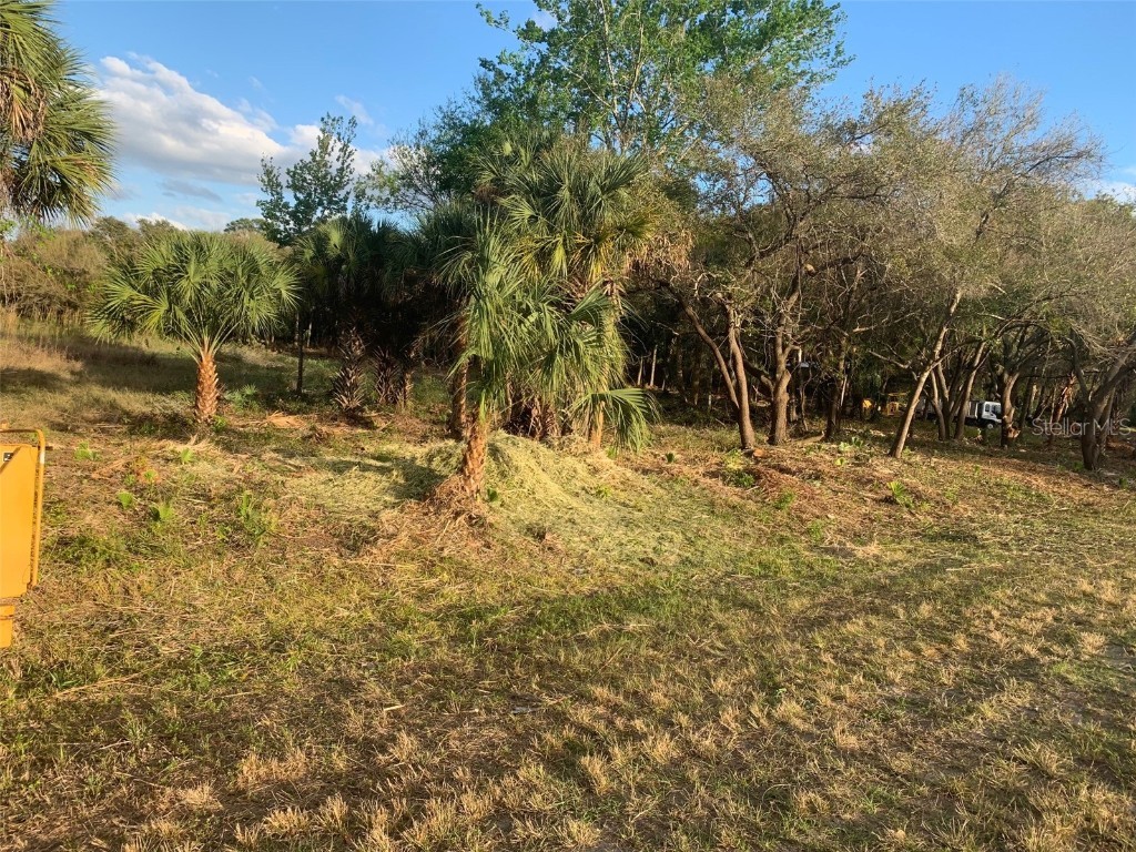 3106 Timberlee Road Wimauma FL 33598 A4606800 image1