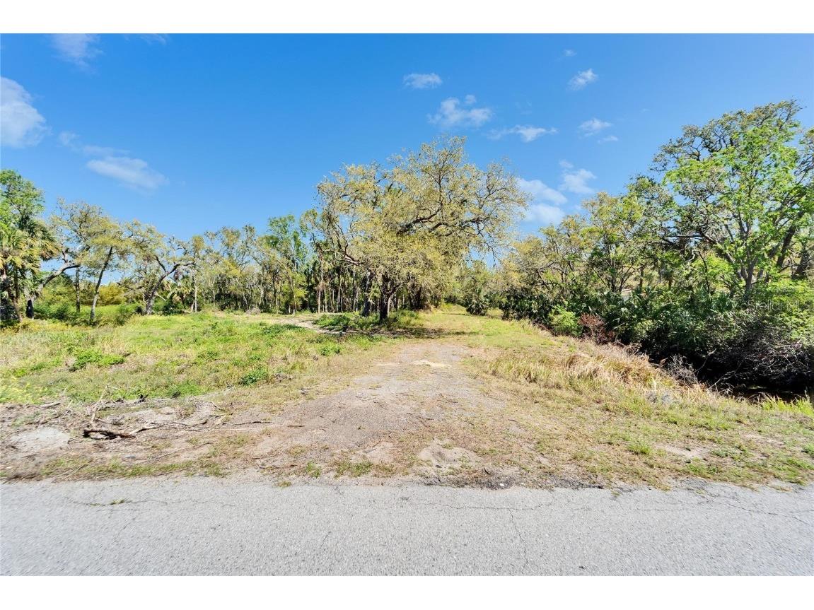 3106 Timberlee Road Wimauma FL 33598 TB8360604 image1