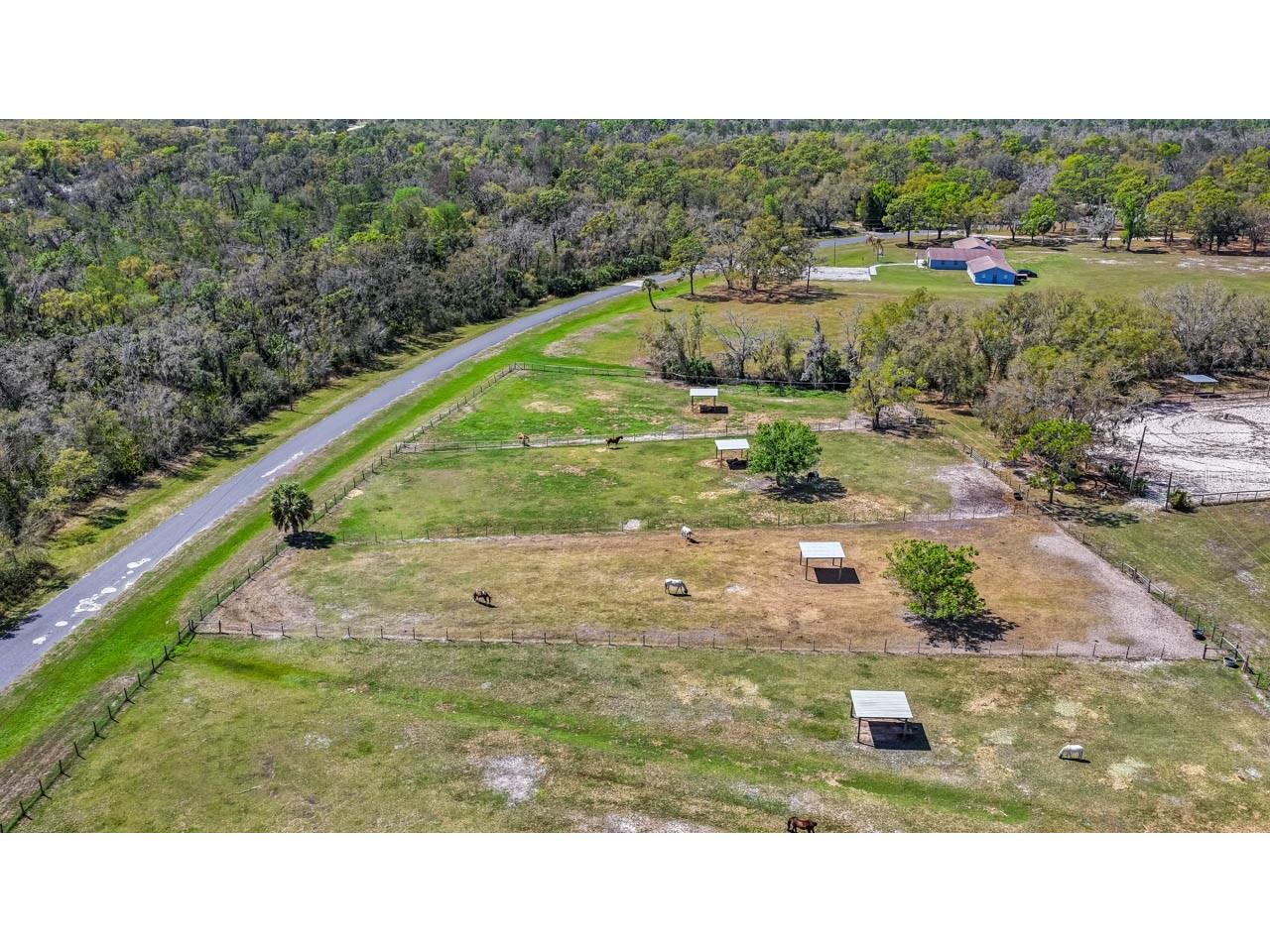3106 Timberlee Road Wimauma FL 33598 TB8484153 image23