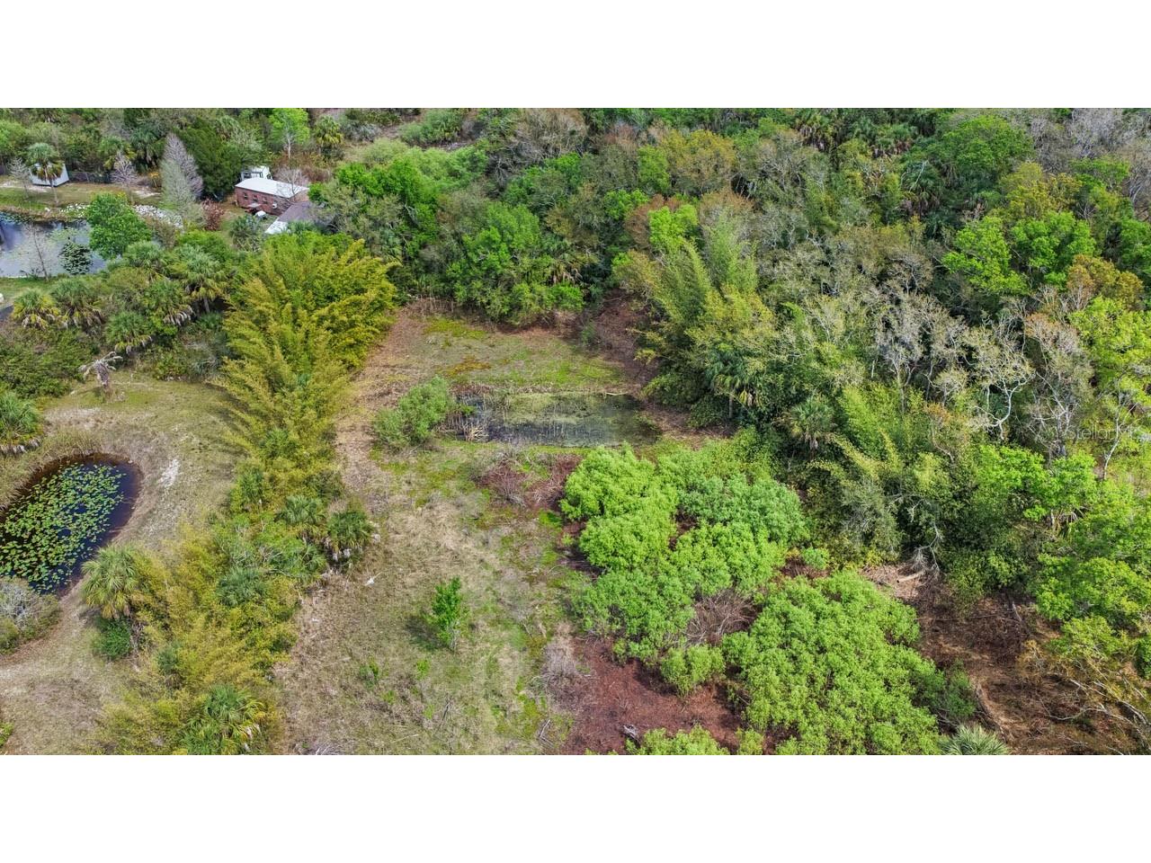 3106 Timberlee Road Wimauma FL 33598 TB8484153 image3