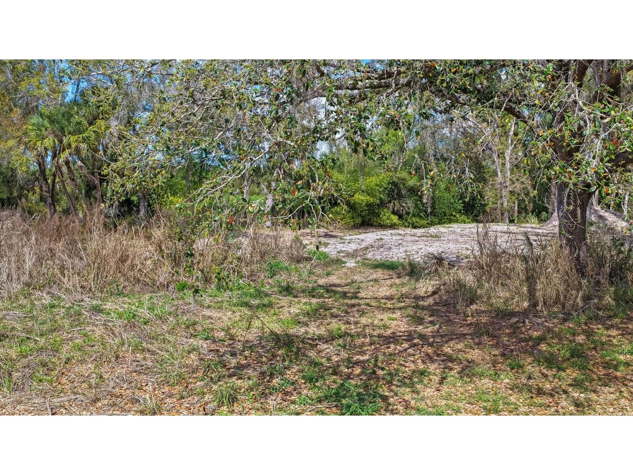 3106 Timberlee Road Wimauma FL 33598 TB8484153 image32