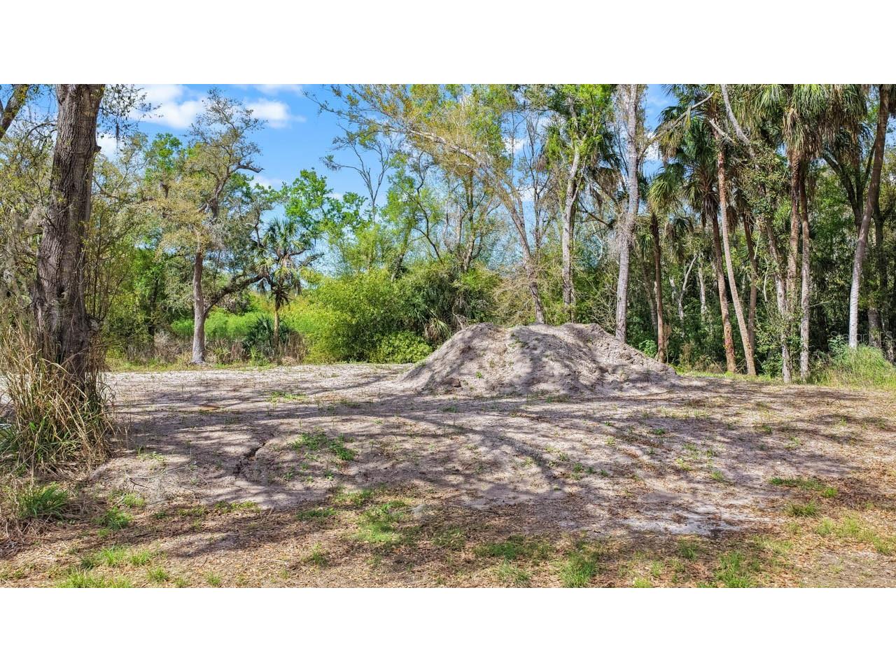 3106 Timberlee Road Wimauma FL 33598 TB8484153 image35