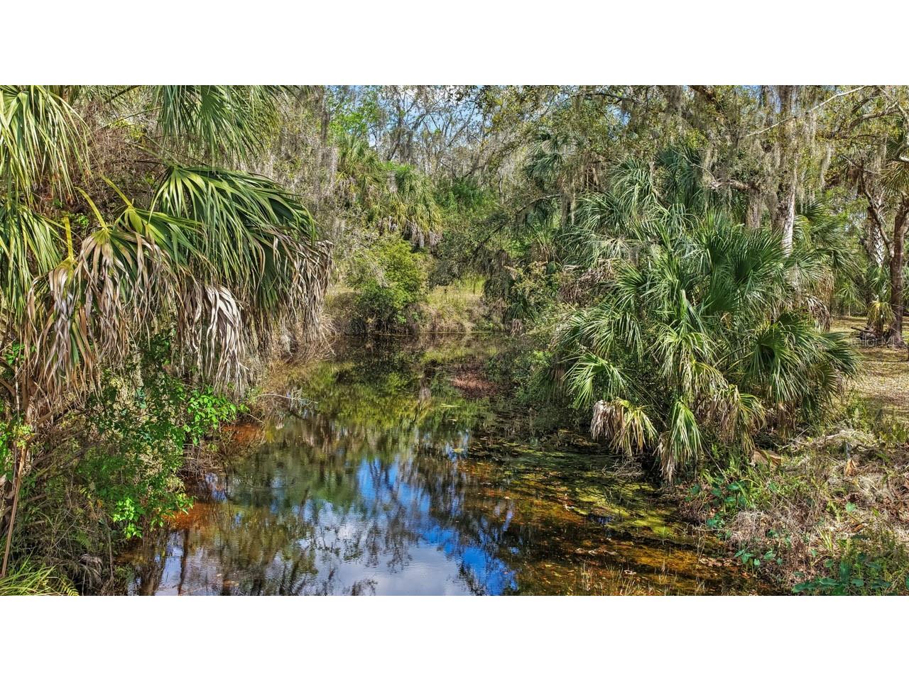 3106 Timberlee Road Wimauma FL 33598 TB8484153 image36