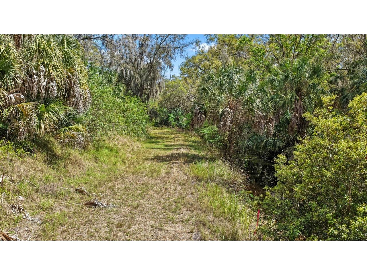 3106 Timberlee Road Wimauma FL 33598 TB8484153 image38