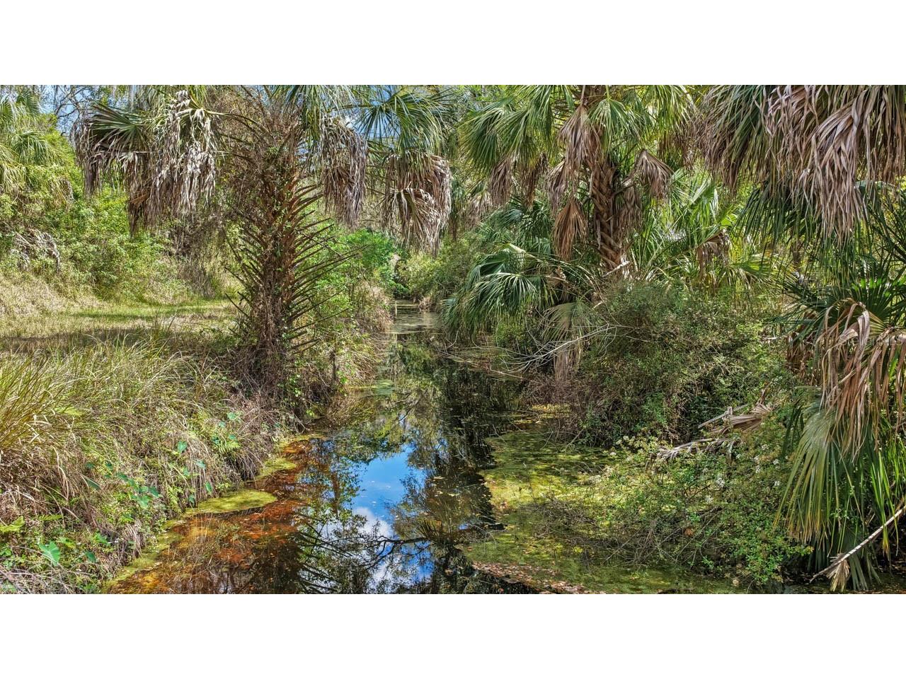 3106 Timberlee Road Wimauma FL 33598 TB8484153 image40