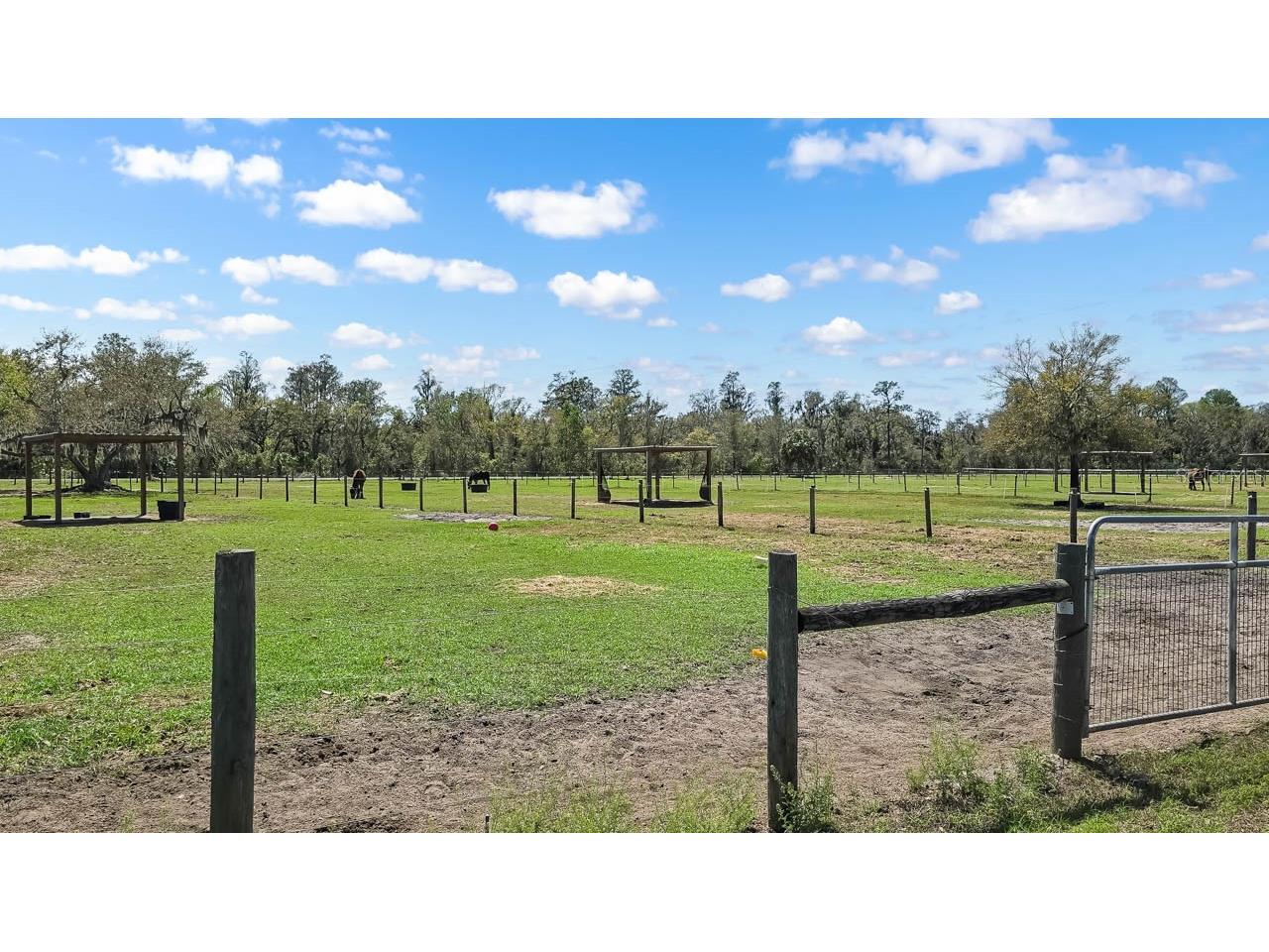 3106 Timberlee Road Wimauma FL 33598 TB8484153 image43