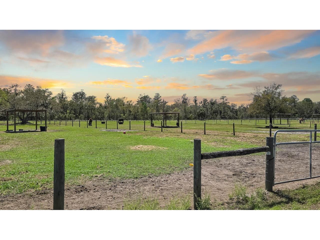 3106 Timberlee Road Wimauma FL 33598 TB8484153 image45