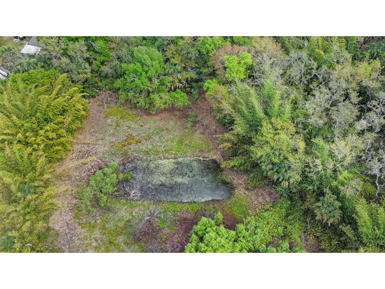 3106 Timberlee Road Wimauma FL 33598 TB8484153 image49