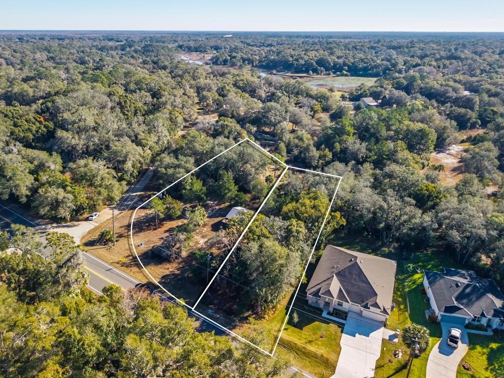 31060 Lochmore Circle Sorrento FL 32776 O6378439 image1